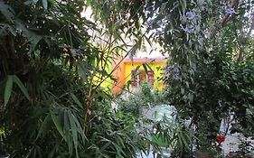 Hotel Zen